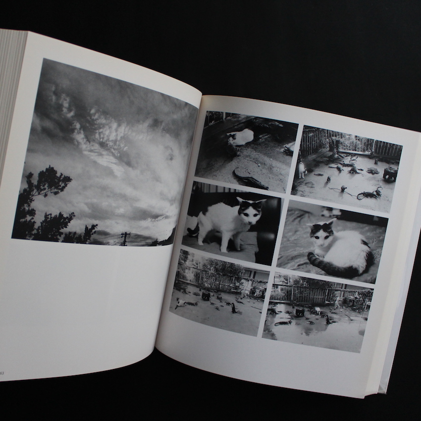 Love and Death - 荒木 経惟 / Nobuyoshi Araki