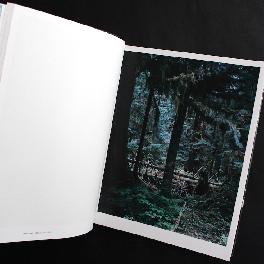 Forest（Signed） - 上田 義彦 / Yoshihiko Ueda