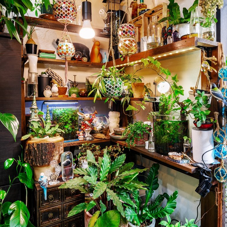 ようこそ！ おうちの中の緑の世界へ 植物いっぱいのお部屋実例を紹介