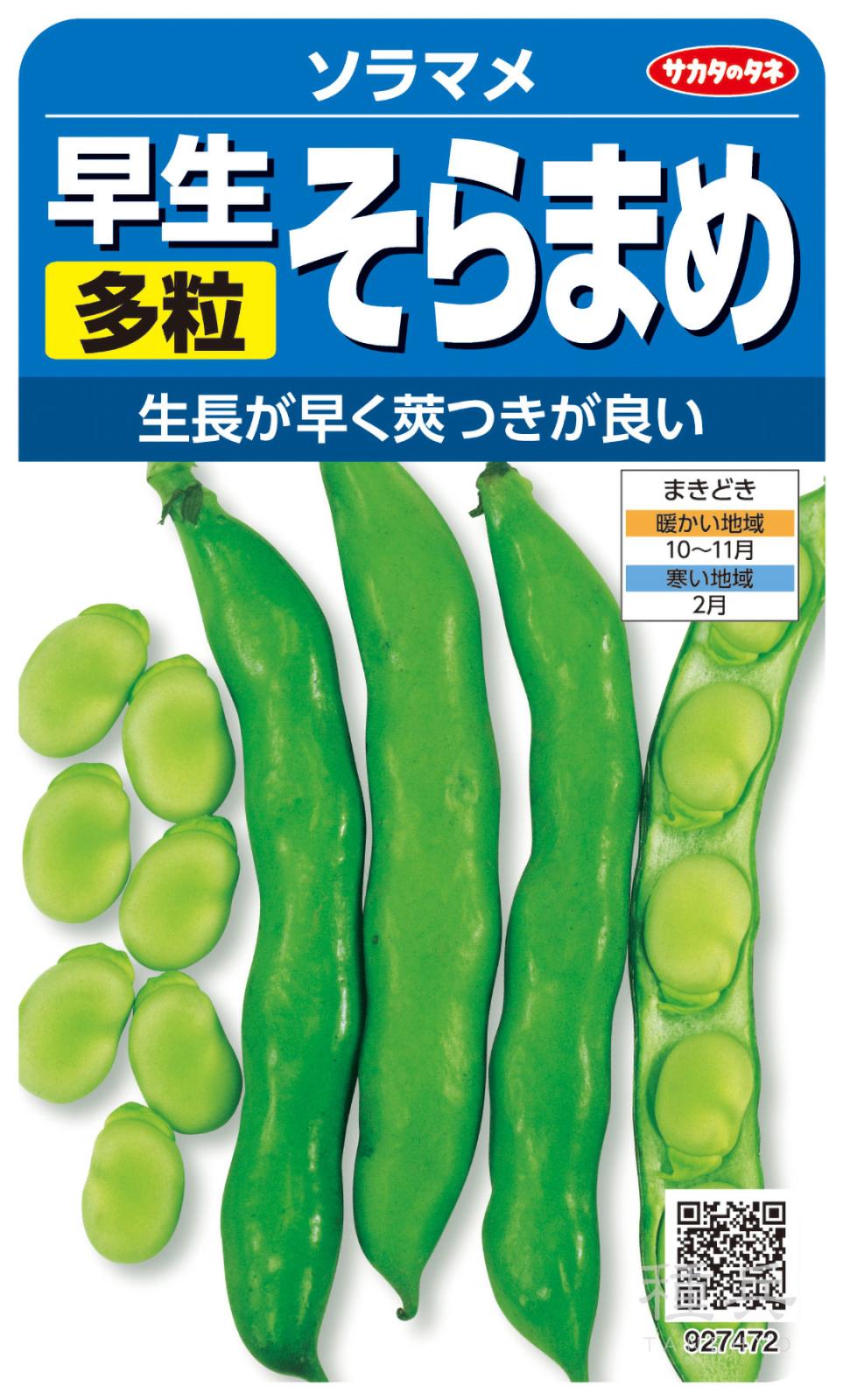 ソラマメ 種 『早生多粒そらまめ』 サカタのタネ | たね,果菜の種