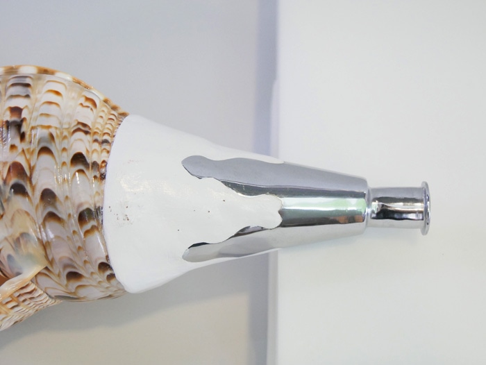 法螺貝・歌口付 サイズ41cm-43cm 真言タイプ | 鳴り物,法螺貝 通販なら