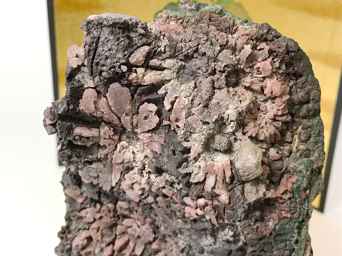 菊花石 【サバ菊】(木製台座付き)