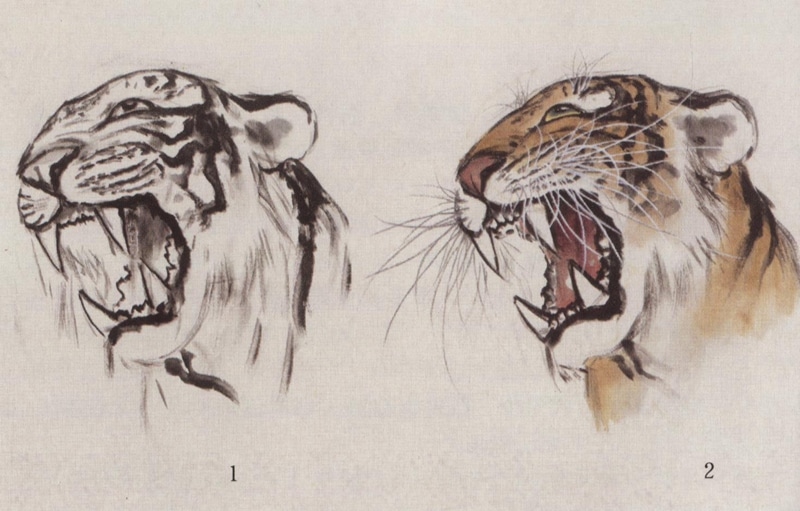 とら 虎 水墨画の描き方 名家から学ぶ 国画大課堂 中国絵画/老虎 名