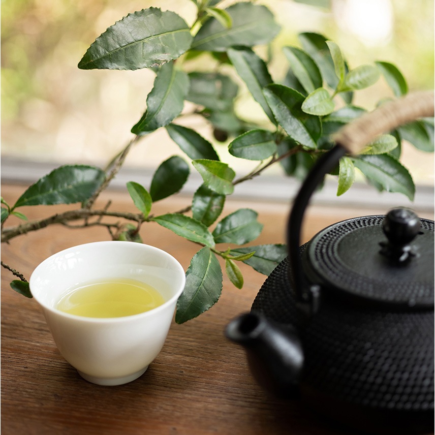 特上煎茶 碧緑 | 普通蒸し茶 | 日本茶専門のオンラインマルシェ「CHANOBA」