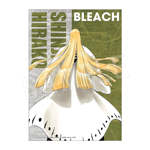 予約】BLEACH B3布ポスター 平子 真子 | は行,BLEACH | Chugaionline