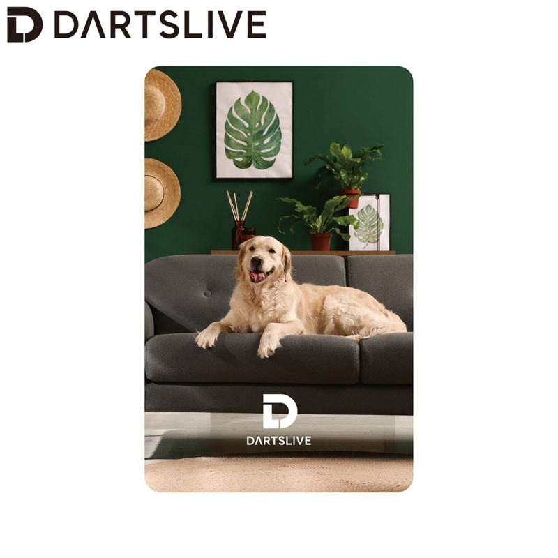 【レア 新品・未使用】当選通知書付きクライナー ダーツライブカード レア 新品・未使用】当選通知書付きクライナー ダーツライブカード