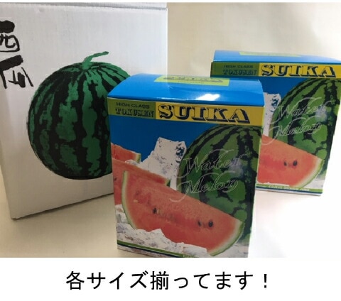 バラ】【段ボール箱】スイカ箱 特大 1ケ入【10枚】大玉 すいか用 BOX