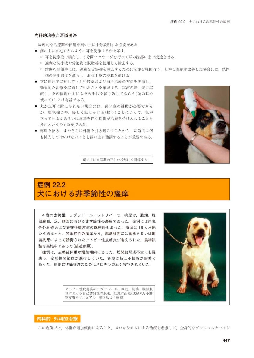 BSAVA 犬と猫におけるリハビリテーション，支持療法および緩和療法