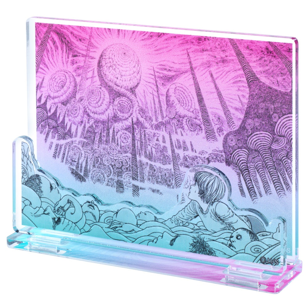 1_000000020878.jpg?1765244531