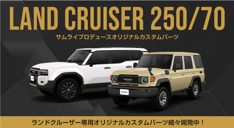 2_000000004197.jpg?1729584023