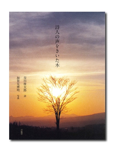 詩人の声をきいた木｜求龍堂