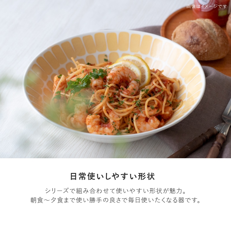 amis(アミ) 225ディーププレート | シリーズ,ORIGINAL,amis | MINORU TOUKI