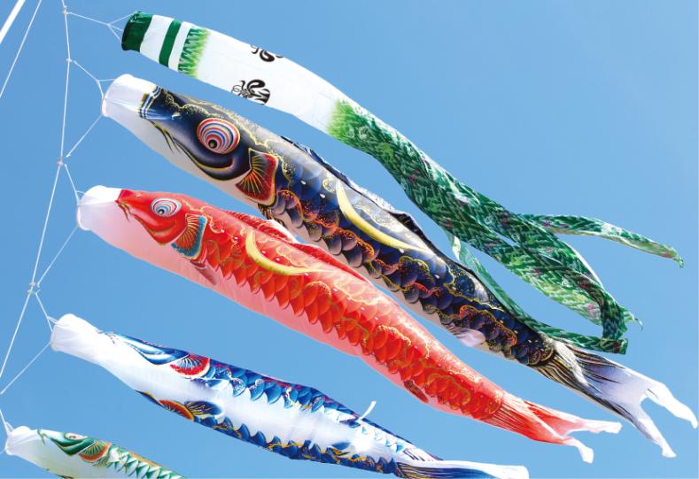 綾錦鯉のぼり 3m 6点セット 新品未開封 綾錦鯉のぼり 3m 6点セット