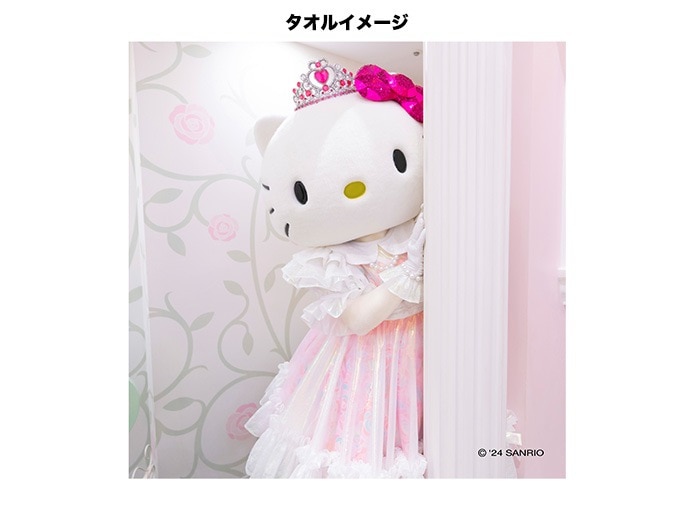 推しキャラ工房】ハローキティ50周年④ 【ハンドタオル・キャンバス