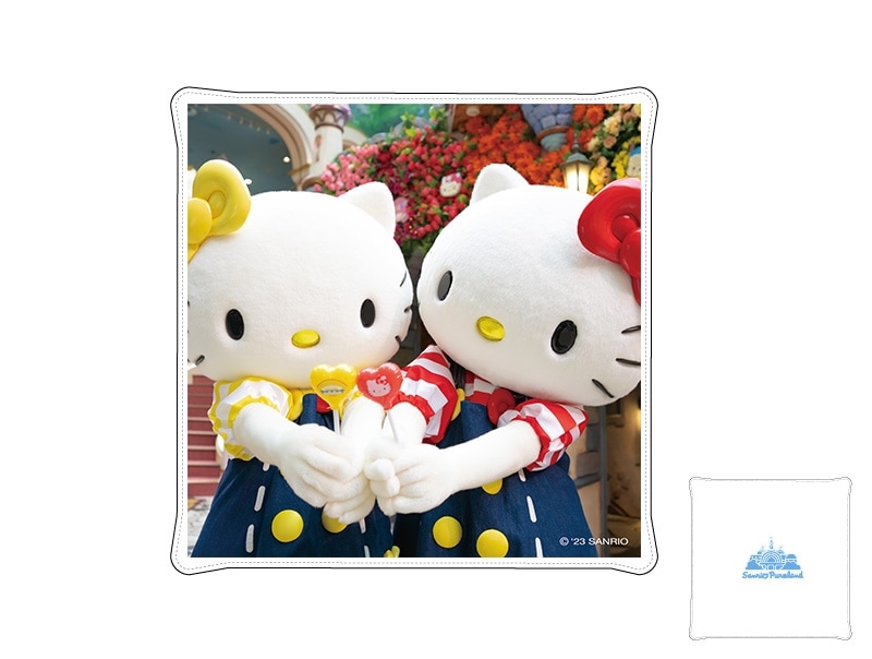 レア‼️ 美しいキャンディーカラーキティ フォトフレーム ミニバラ