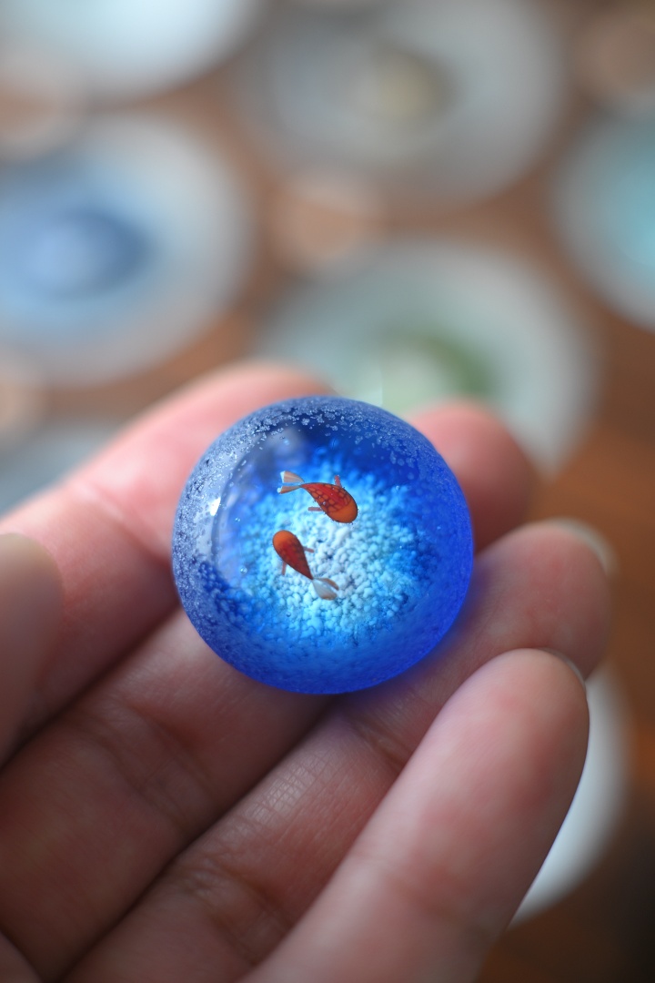 魚石類八種標本箱」Glass2H | 彩元堂：増永元 official site