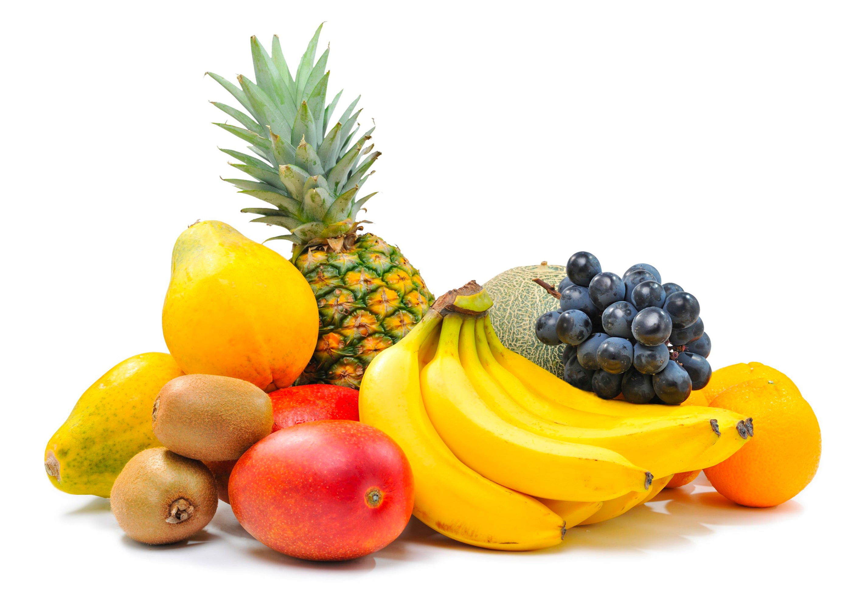 Chocolate Covered Orange Peel Party Favor Blue Box || MarieBelle