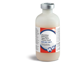 Boehringer Ingelheim Bar Vaccine CD/T for Cattle, Sheep and Goats
