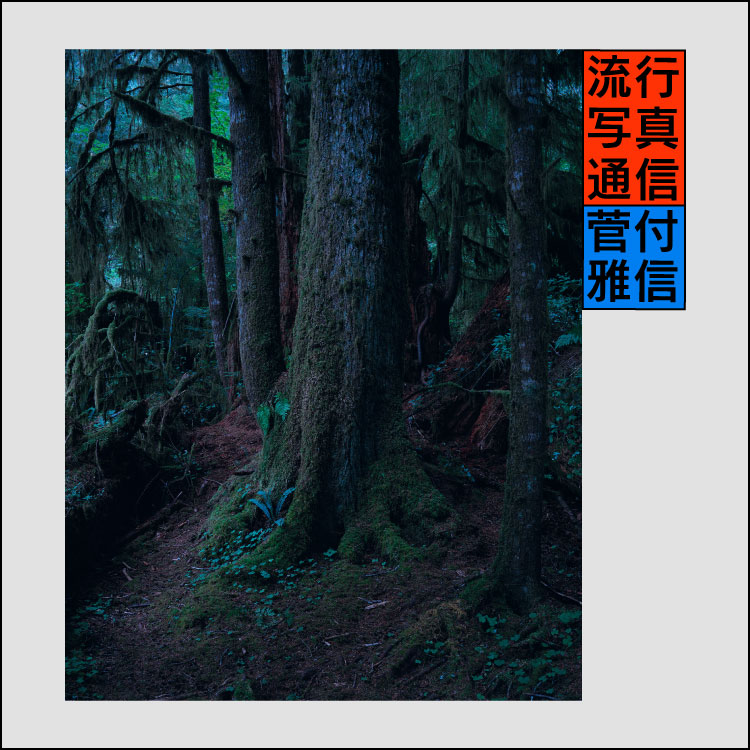 On omnipresent photography：Yoshihiko Ueda's Unwavering