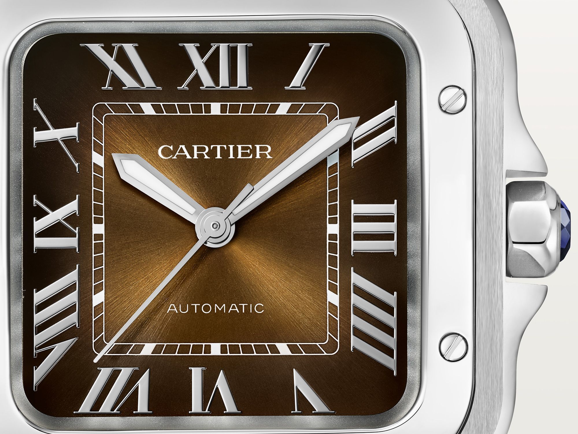 ギャラリー：「サントス ドゥ カルティエ」のブラウン文字盤