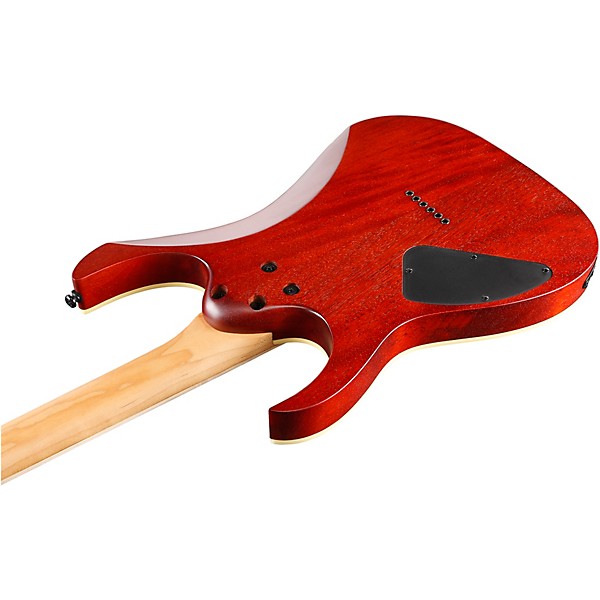 Ibanez RGEW521ZC RG Series Electric Guitar Flat Natural | Guitar