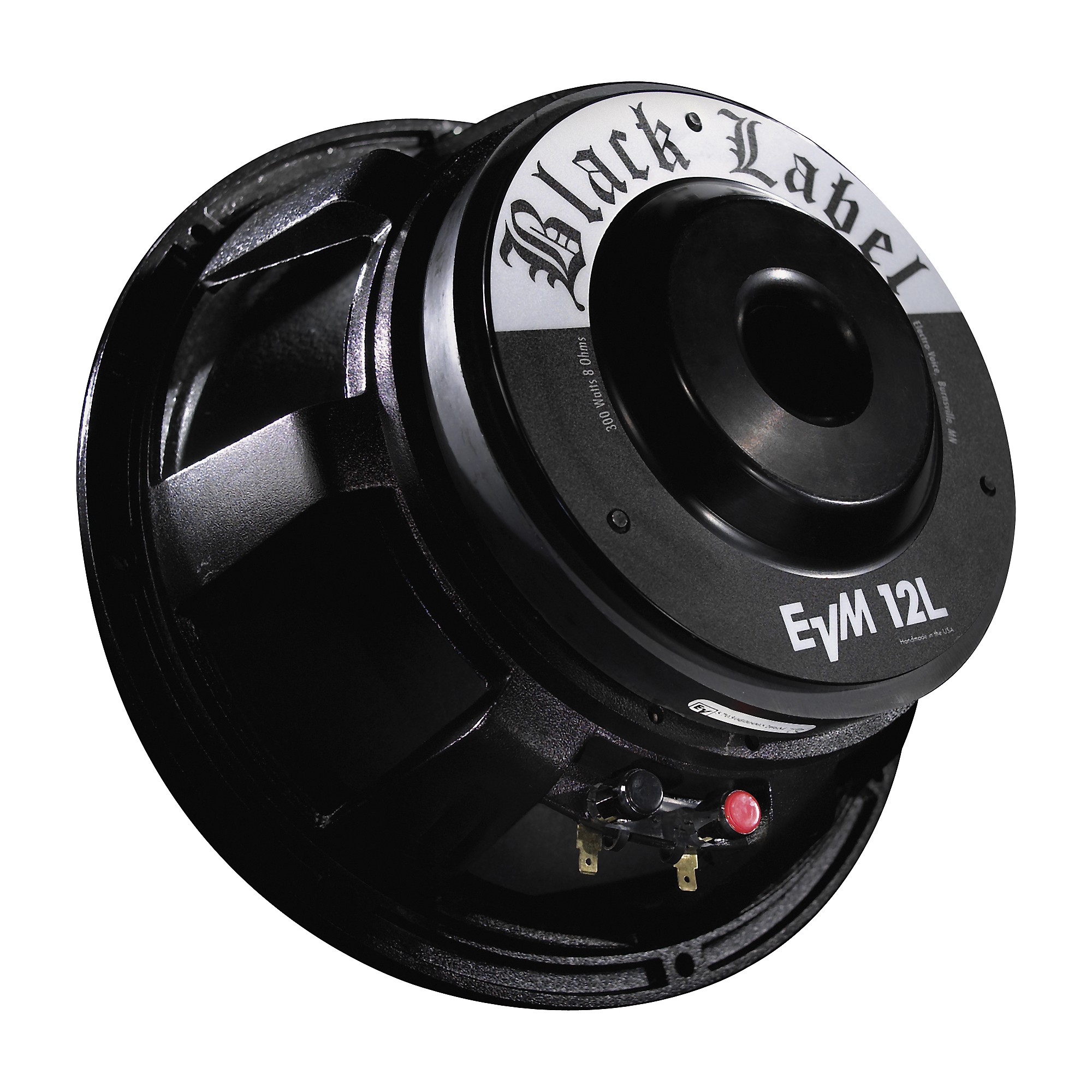 Electro-Voice Zakk Wylde EVM 12L Black Label Raw Frame Guitar