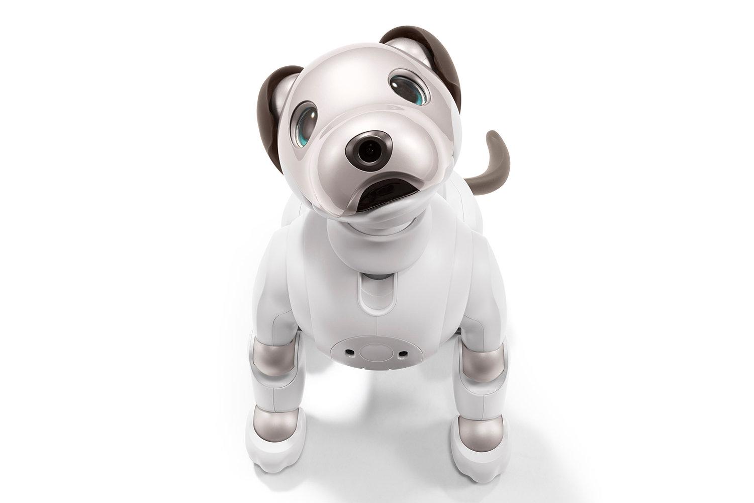 12年ぶりに帰ってきたワン！ かわいさ＋賢さアップの犬型ロボット｢aibo