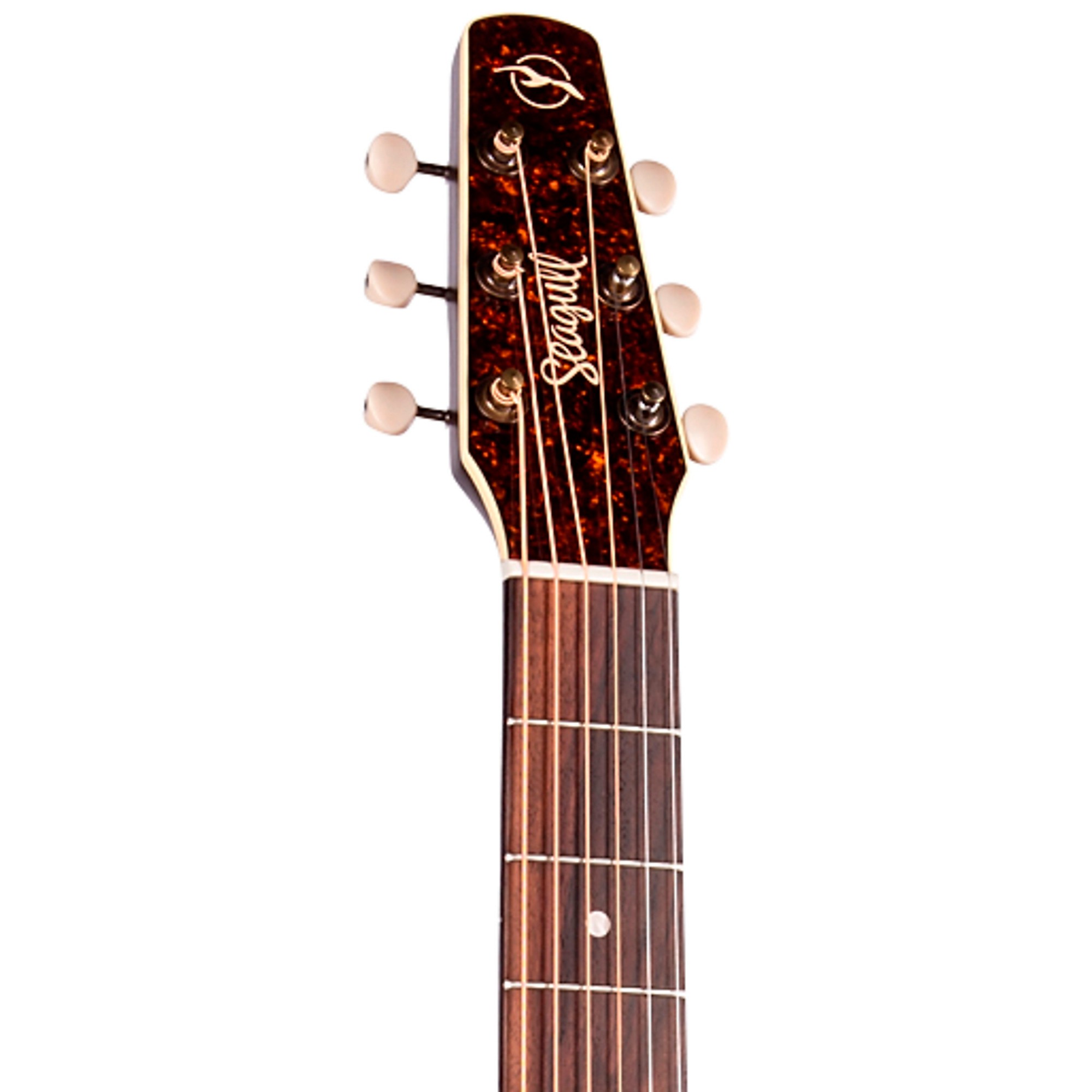 Seagull M6 Limited Edition Acoustic-Electric Guitar | Music & Arts