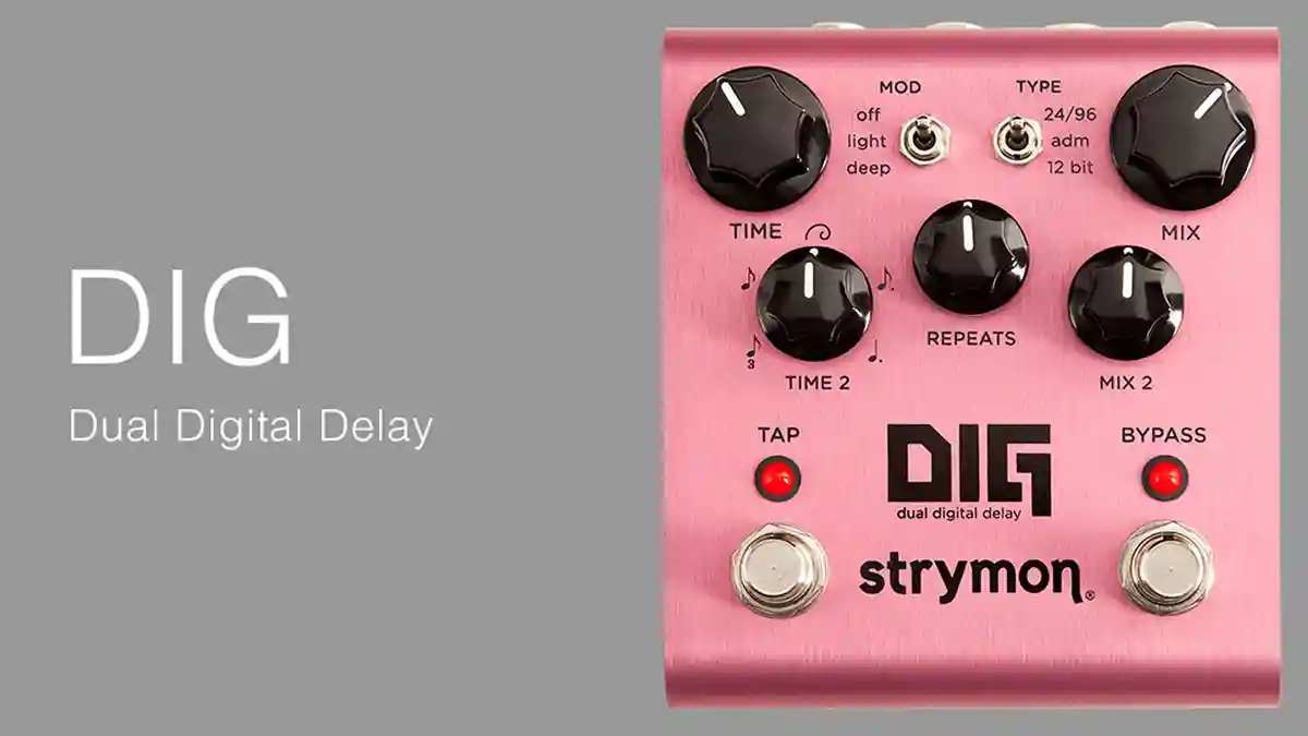 プロミュージシャンから大絶賛のディレイエフェクター。strymon DIG
