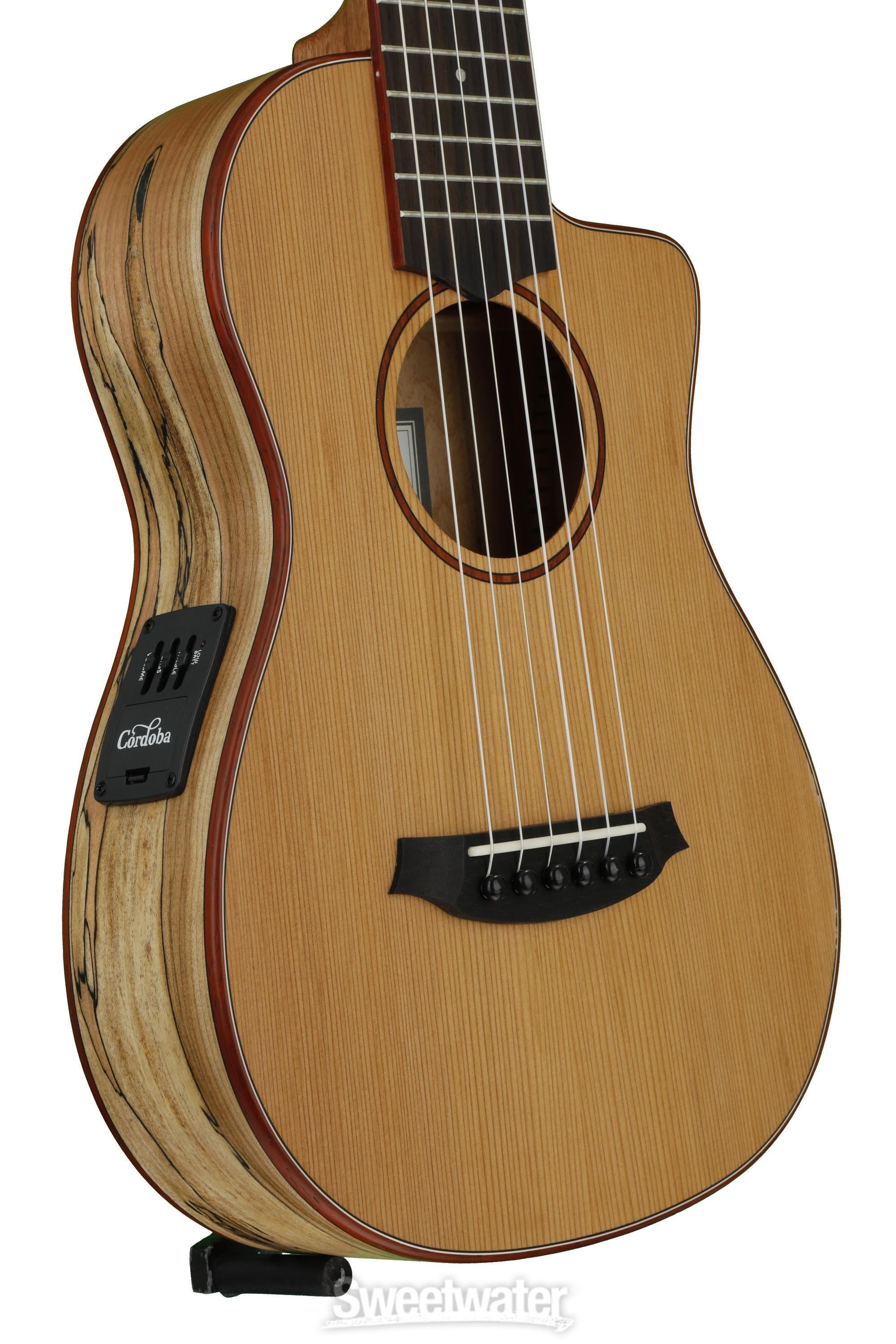 Cordoba Mini SM-CE - Cedar Top | Sweetwater