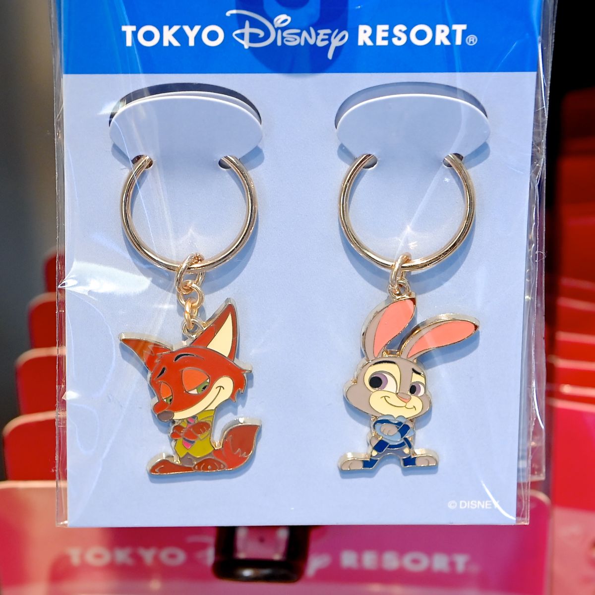 かわいいペアデザイン！東京ディズニーランド キーチェーンセット -