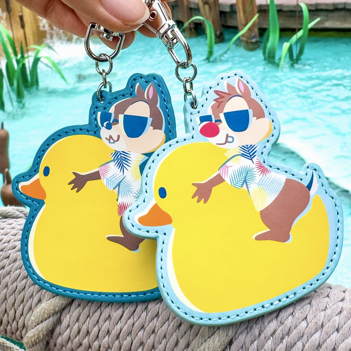 アヒルのうきわに乗って浮かぶチップ＆デール！東京ディズニーランド