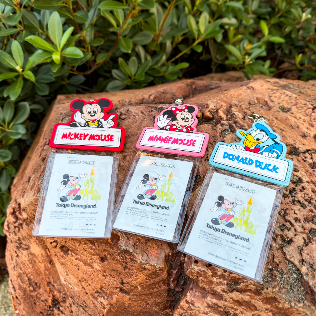 ミッキー、ミニー、ドナルドデザイン！東京ディズニーランド