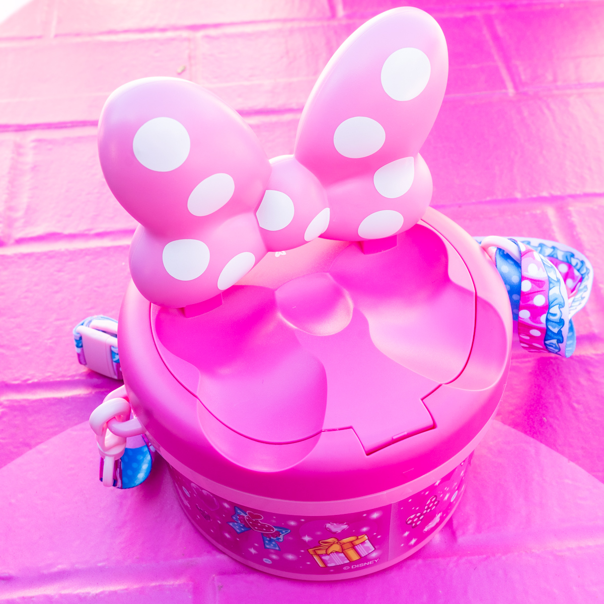 大きなリボン付き！東京ディズニーランド「ディズニー・パルパルーザ