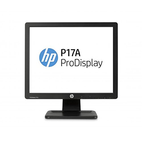 Amazon.com: ProDisplay P17A 17