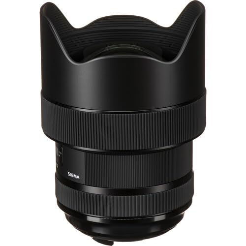 Amazon.com : Sigma 14-24mm f/2.8 DG HSM Art Lens for Nikon F, Wide