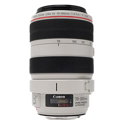 Amazon | Canon EF 70-300mm f4-5.6 L はUSMレンズ | カメラ用交換