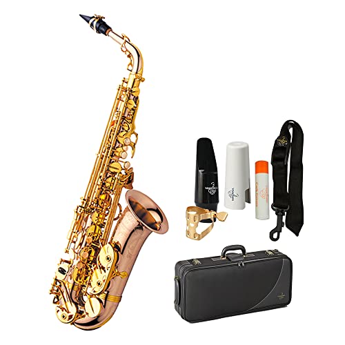 Amazon | YANAGISAWA A-WO20 アルトサックス ブロンズブラス製