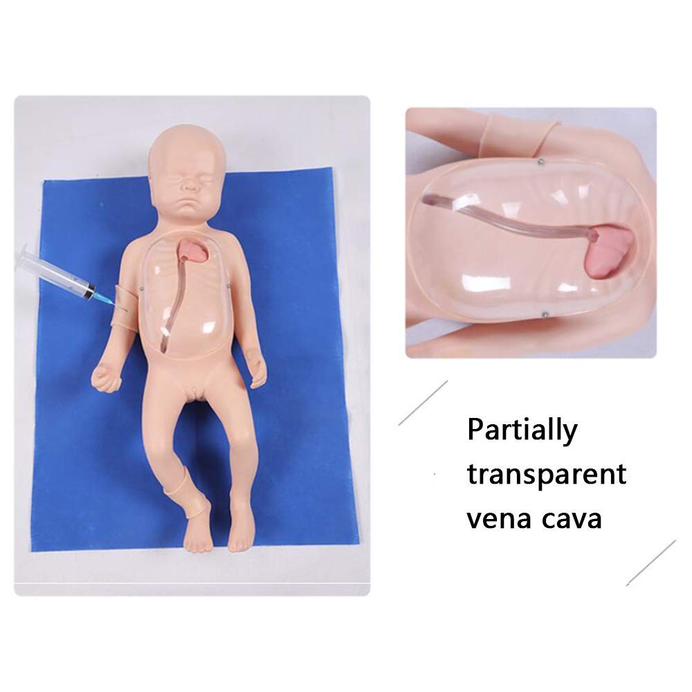 Amazon.co.jp: 新生児末梢中心静脈カニューレモデルシミュレートされた