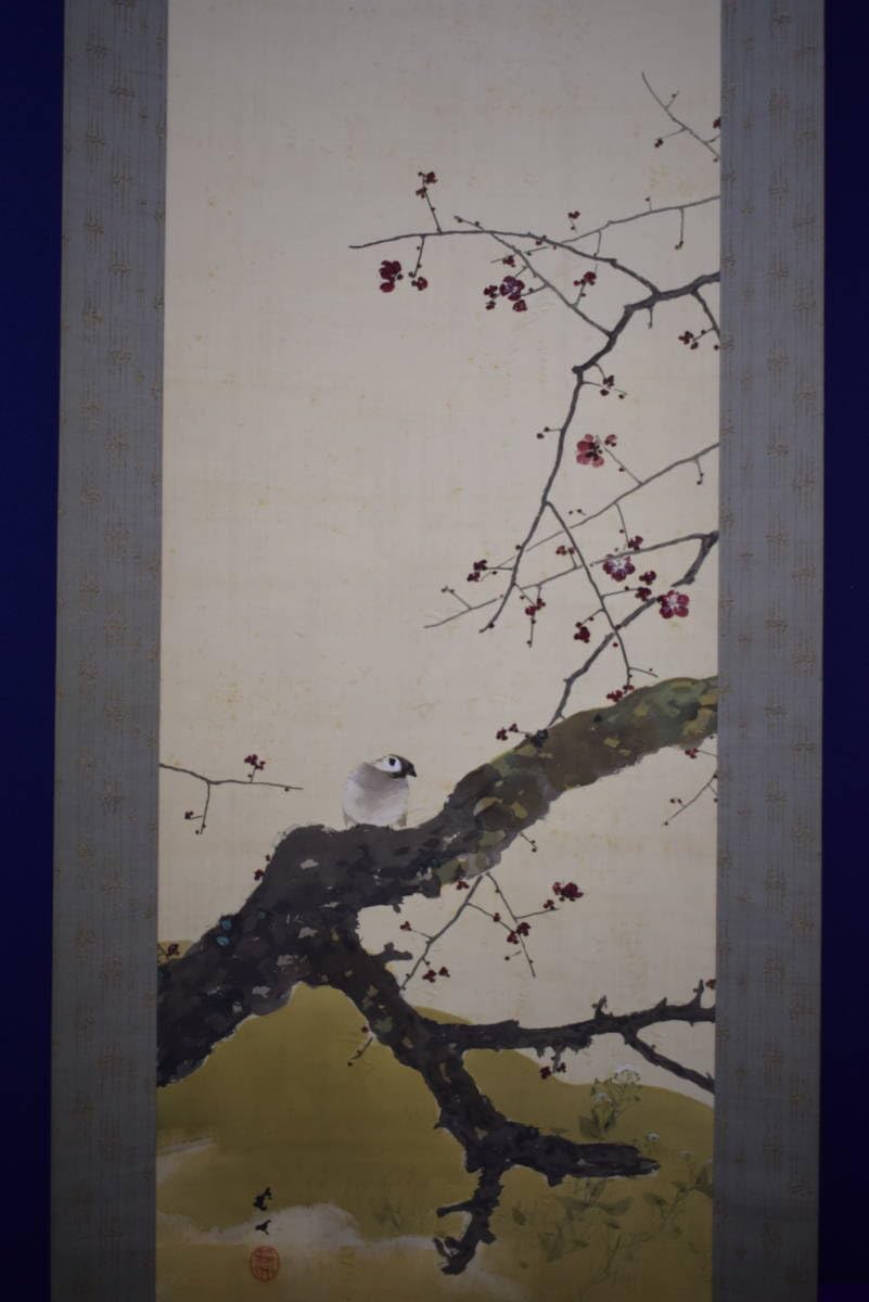 真作⁄菊池芳文⁄紅梅に雀図⁄紅梅に小禽図