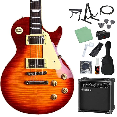 タ*坊様 #Burny #LSD-55N-EGA #イグアナバースト #ケース タ*坊様