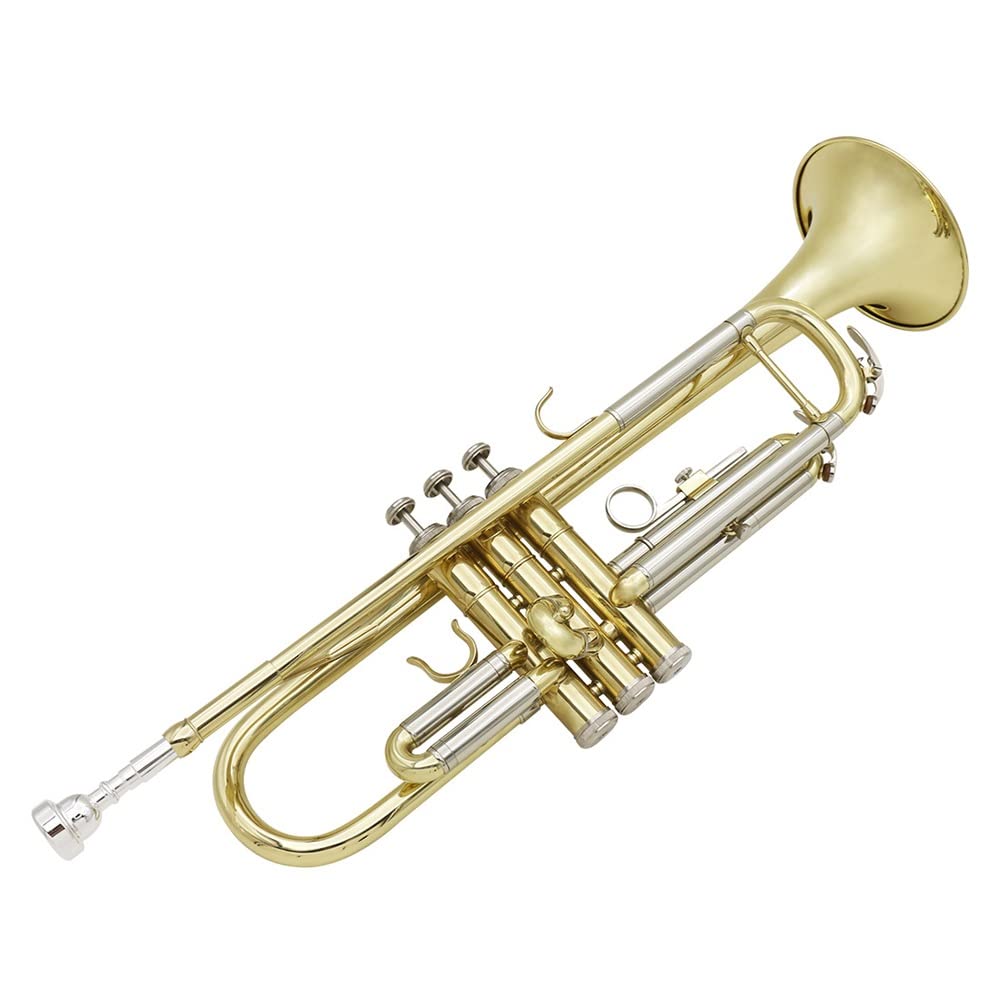Amazon.co.jp: Bb 標準トランペット、金管楽器西洋管楽器、7C マウス