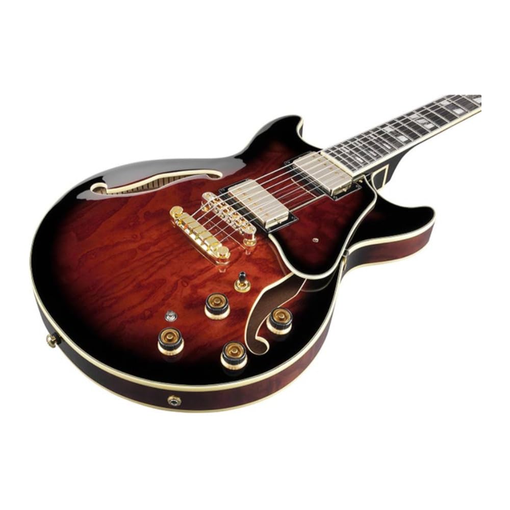 Amazon.com: Ibanez Artstar AM153QA - Dark Brown Sunburst : Musical