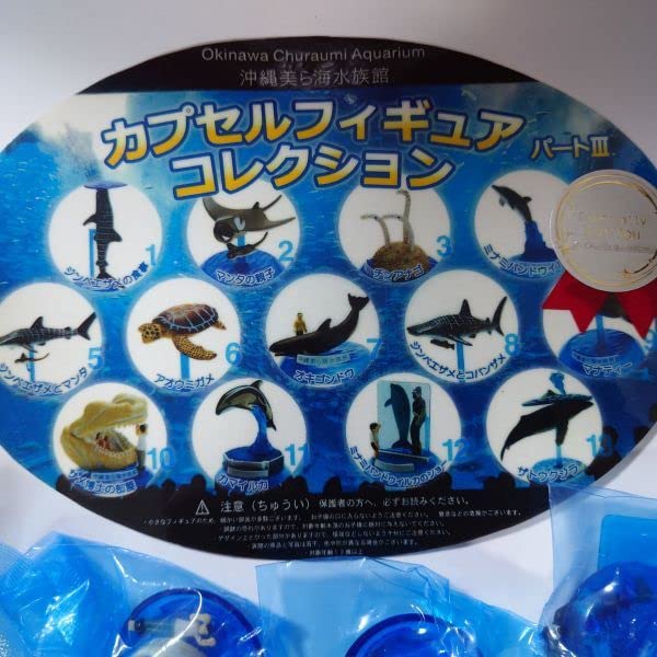 Amazon | 美ら海水族館カプセルコレクション313種セット ウミガメ