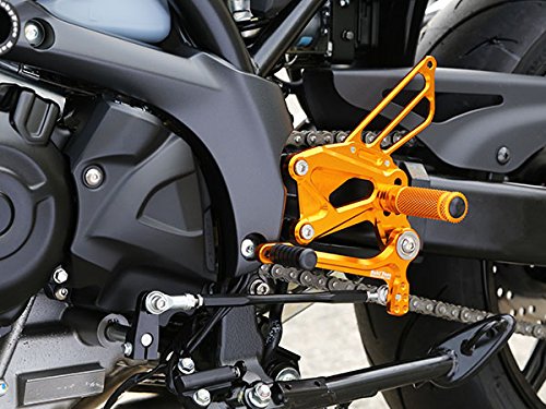 Amazon | ベビーフェイス(BABY FACE) バックステップキット ゴールド