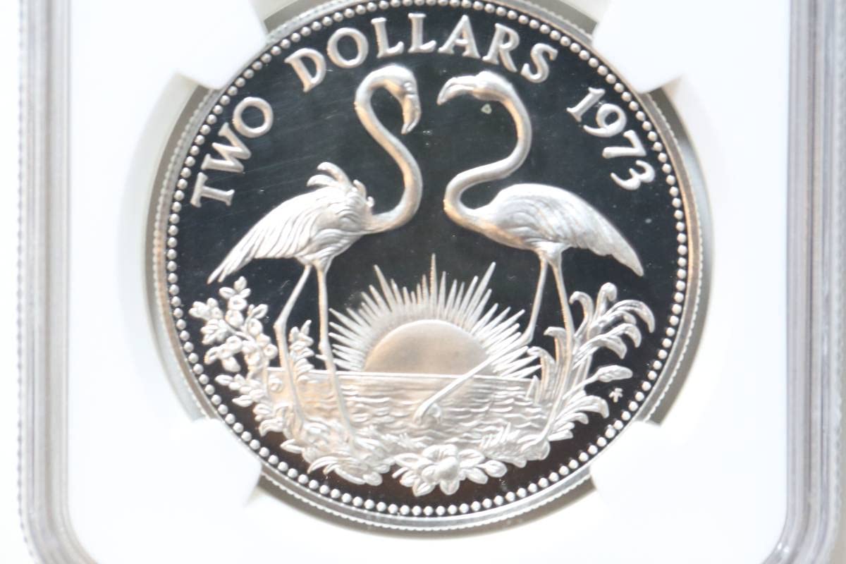 Amazon.co.jp: 古銭 希少 アンティーク コイン 1973年 バハマ 旧女王