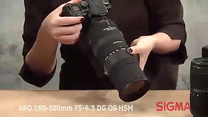 Amazon.com : Sigma 150-500mm f/5-6.3 Auto Focus APO DG OS HSM