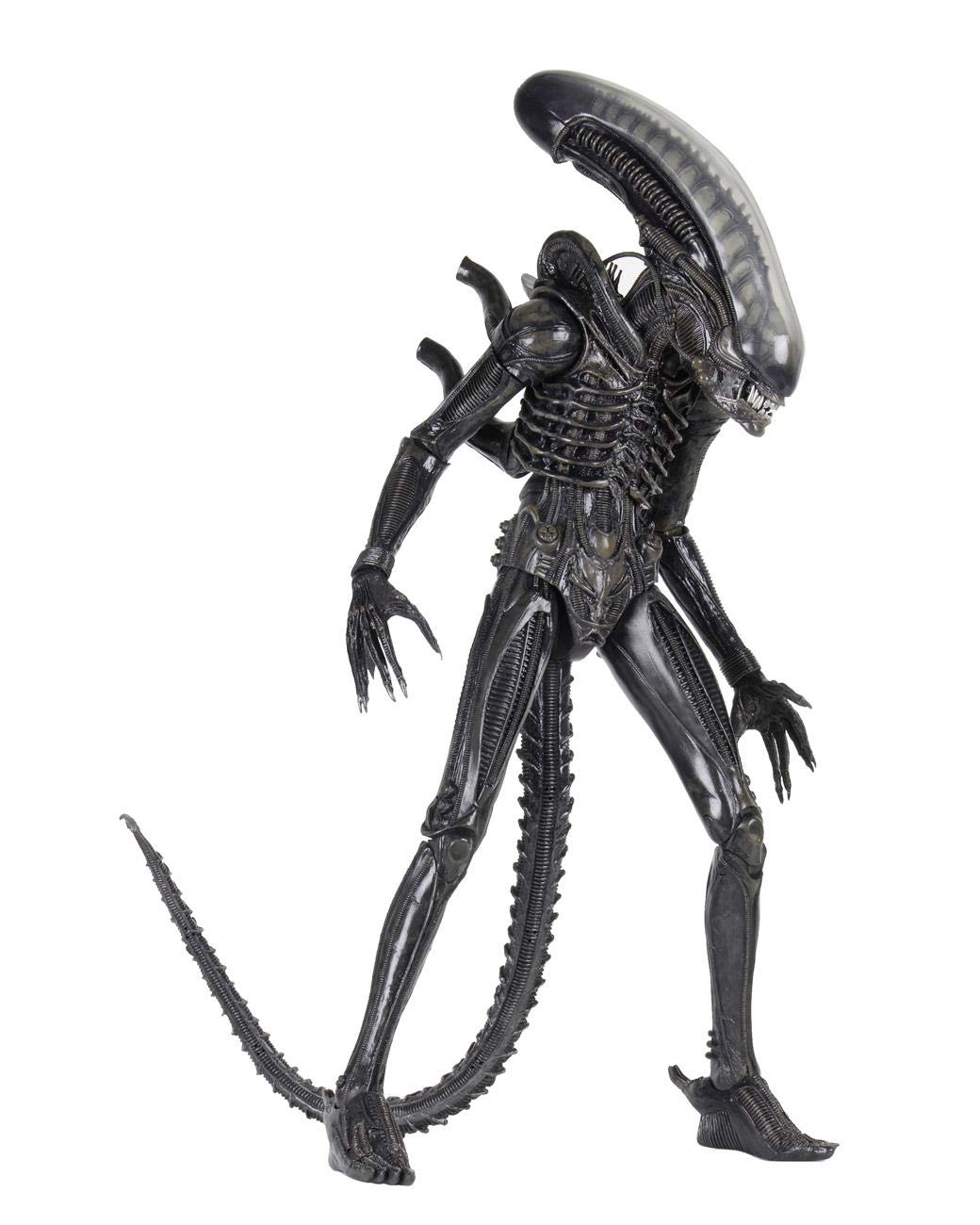 Amazon | Alien 7