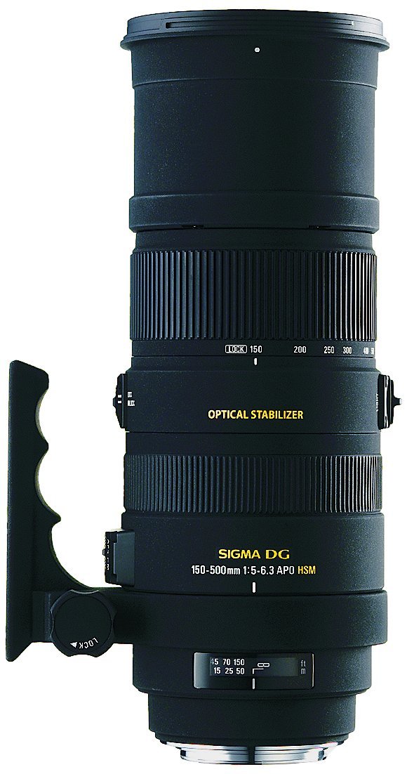 Amazon.com : Sigma 150-500mm f/5-6.3 Auto Focus APO DG OS HSM