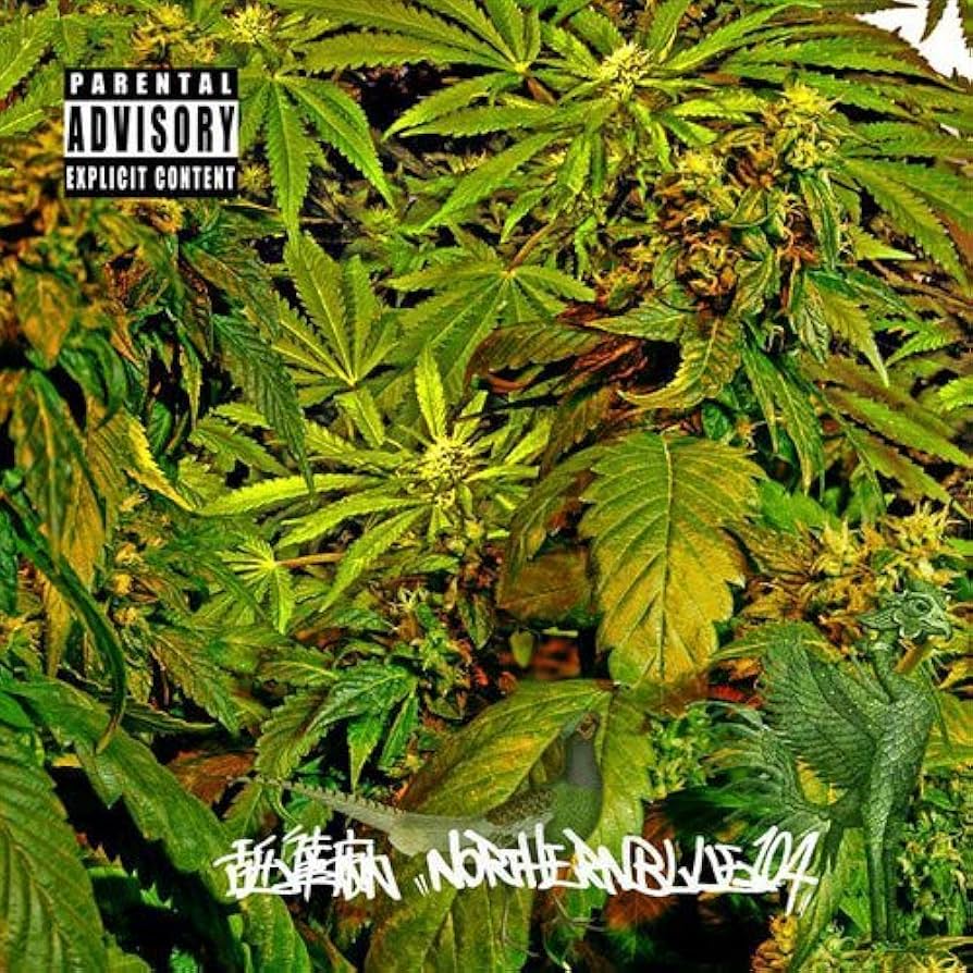 Amazon.co.jp: NORTHERNBLUE1.0.4.: ミュージック